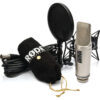 RODE NT2-A condenser microphone - RODE NT2-A Large-Diaphragm Multipattern Condenser Microphone