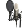 RODE NT2-A condenser microphone - RODE NT2-A Large-Diaphragm Multipattern Condenser Microphone