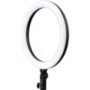 Godox LR120 LED ring light - Godox LR120 Bi-Color LED Ring Light (12", Black)