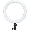 Godox LR120 LED ring light - Godox LR120 Bi-Color LED Ring Light (12", Black)