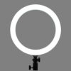 Godox LR120 LED ring light - Godox LR120 Bi-Color LED Ring Light (12", Black)