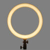 Godox LR120 LED ring light - Godox LR120 Bi-Color LED Ring Light (12", Black)