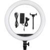 Godox LR150 LED Ring Light - Godox LR150 Bi-Color LED Ring Light (18", Black)