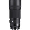 Sigma 105mm macro lens Sony E - Sigma 105mm f/2.8 DG DN Macro Art Lens (Sony E)