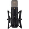 RODE NT1 5th Generation microphone - RODE NT1 5th Generation Large-Diaphragm Cardioid Condenser Microphone