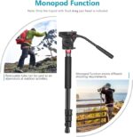 Neewer TM254 camera tripod monopod - Neewer TM254 Aluminum Alloy Camera Tripod Monopod with TA60 Head