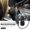 BM 800 condenser microphone - BM 800 Professional Condenser Microphone