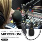 BM 800 condenser microphone - BM 800 Professional Condenser Microphone