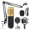 BM 800 condenser microphone - BM 800 Professional Condenser Microphone