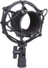 BM 800 condenser microphone - BM 800 Professional Condenser Microphone