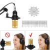 BM 800 condenser microphone - BM 800 Professional Condenser Microphone
